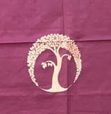 Pastel Pink Banarasi kora Saree