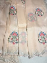 Nude Pink pure Organza handwork saree SS50287