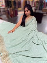 Mint Georgette Sequence saree with sabhyasachi borders and printed blouse SS50513