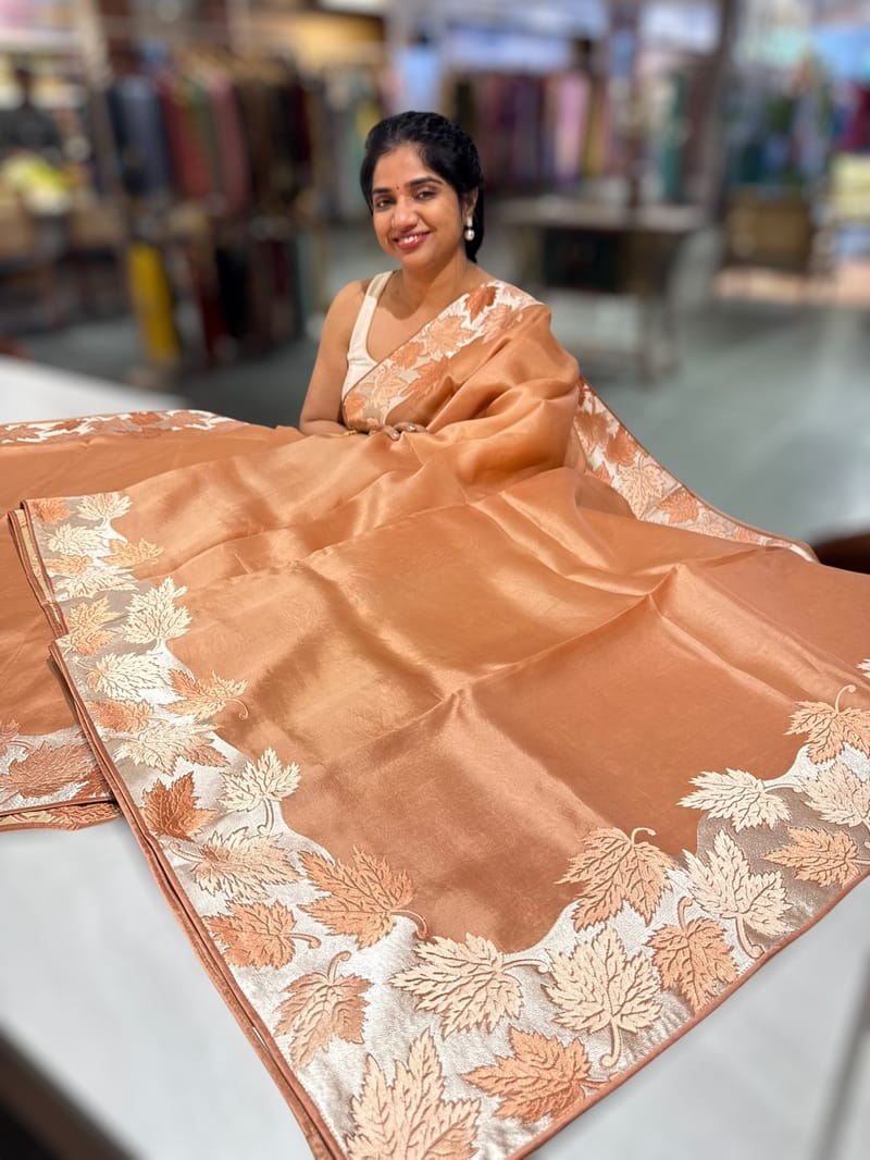 Peach Organza Saree with Stunning Leaf Embroidered Border SS50316
