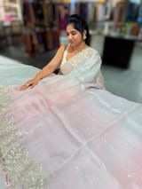 Ombre dyed Pure Organza Saree with parsi gara embroidery SS50281