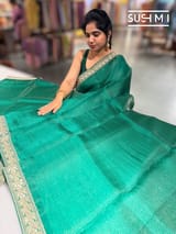 Emerald Green Organza Saree with sabhyasachi borders S62117