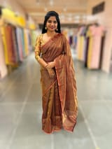 Brown chaderi Tissue saree with designer tissue blouse