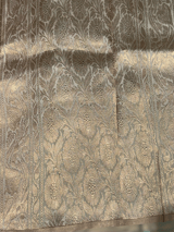 Light Beige Borderless Poona Silk Saree