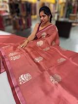 Terracota Color Pure Organza with embroidery SS50288