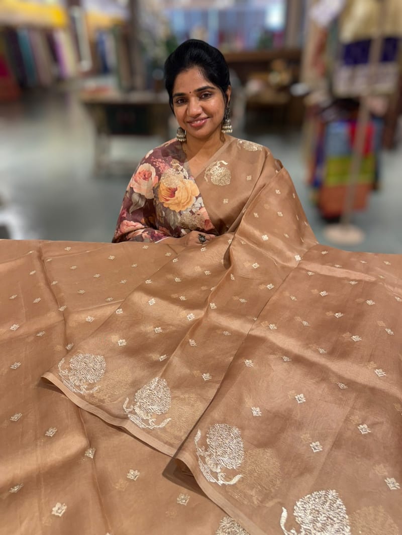 Nude Brown Organza Saree With Embroidery & Tussar Printed Blouse SS50328