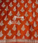 Rust Orange Organza Saree with sabhyasachi borders S62115