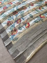 Mul silk handpainted Saree with tissue stripes