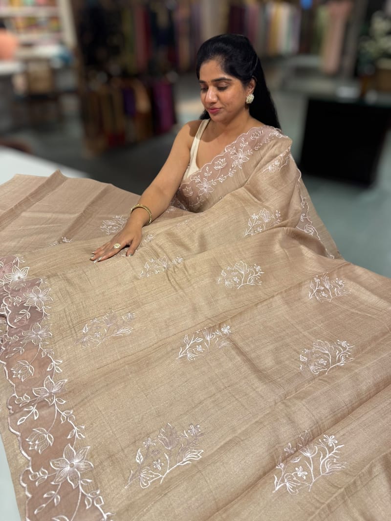 Chickoo Tussar Saree with organza embroidered border SS50550