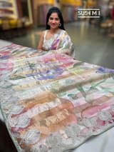 Printed Organza Tissue stripes saree with embroidery