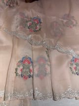 Nude Pink pure Organza handwork saree SS50287