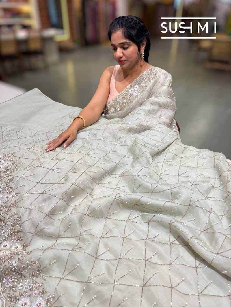 Pista Organza Saree with allover handwork DSCL039