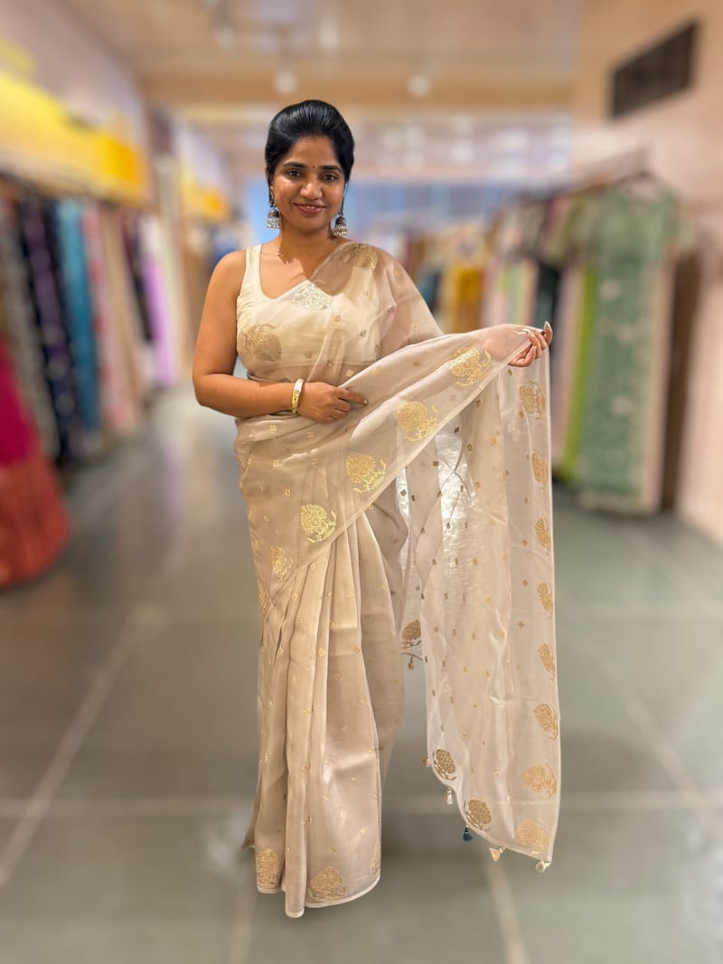 Silverish Tone Pure Organza Saree With Embroidered Motifs & Tussar Printed Blouse SS50300