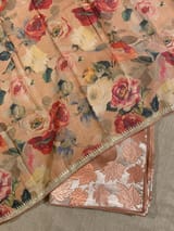 Peach Organza Saree with Stunning Leaf Embroidered Border SS50316