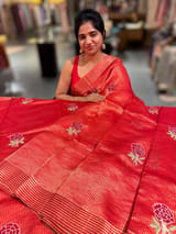 Red Banarasi Silk Tissue stripes Saree with embroidery SS50615