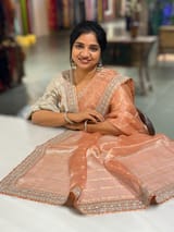 Peach Banarasi Tissue checks Saree with Sabyasachi Borders