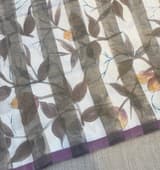 Mul silk tissue stripes handloom saree with handpainting