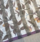 Mul silk tissue stripes handloom saree with handpainting