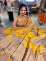 Light Brown Printed Banarasi Tussar Saree