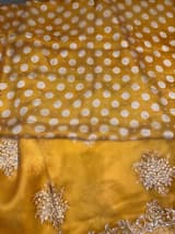 Orangish Mustard Designer Organza Handwork Saree