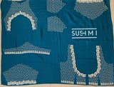 Mint Pure Organza Saree with heavy Handwork