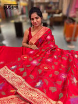 Chilli Red Banaras Mashru Silk with embroidery