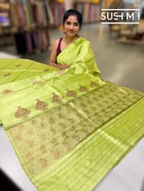 Apple Green Banarasi Handloom Dupion Rawsilk Saree : S62F100