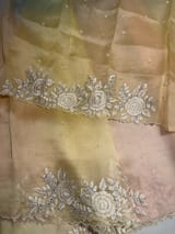 Ombre dyed Pure Organza Saree with parsi gara embroidery SS50282