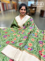 Green Pure tussar with patola inspired embroidery: S62F192