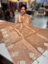 Nude Brown Organza Saree With Embroidery & Tussar Printed Blouse SS50328