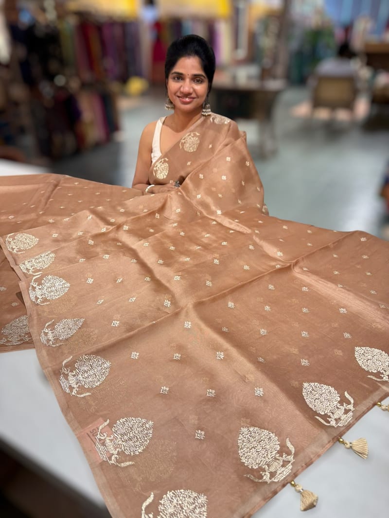 Nude Brown Organza Saree With Embroidery & Tussar Printed Blouse SS50328