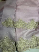 Ombre dyed Pure Organza Saree with parsi gara embroidery SS50278