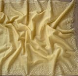 Pastel yellow organza handwork saree