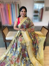 Light Olive Pista Chiniya Silk Saree With Petite Point  Emb Style Print SS50104