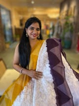 Organza Chikankari Embroidery Saree With Ganga Jamuna Bandhini Temple Borders SS50323