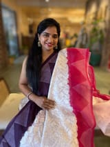 Organza Chikankari Embroidery Saree With Ganga Jamuna Bandhini Temple Borders SS50322
