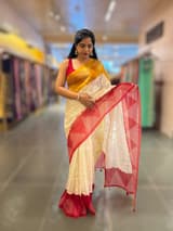 Organza Chikankari Embroidery Saree With Ganga Jamuna Bandhini Temple Borders SS50373