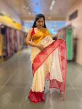 Organza Chikankari Embroidery Saree With Ganga Jamuna Bandhini Temple Borders SS50373