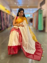 Organza Chikankari Embroidery Saree With Ganga Jamuna Bandhini Temple Borders SS50324