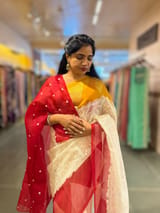 Organza Chikankari Embroidery Saree With Ganga Jamuna Bandhini Temple Borders SS50373