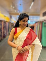 Organza Chikankari Embroidery Saree With Ganga Jamuna Bandhini Temple Borders SS50324