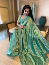 Teal Tissue Gorgette saree with sabyasachi borders and allover pitawork blouse SS50443