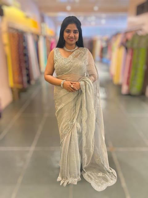 Pastel Bluish Silver Crush Tissue Handwork Saree