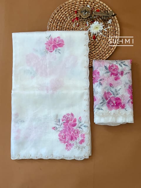 Half White Pure Organza Saree with Hand-Paint and Handwork Highlighting