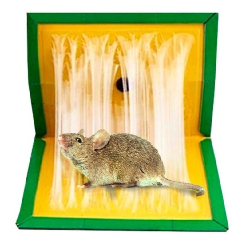 OEM Trampa Adhesiva Ratones Y Ratas Cebo Roedores | falabella.com