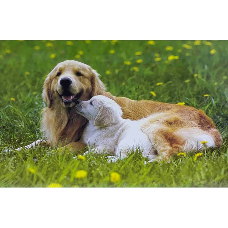 Ravensburger Puzzle, Puzzle 1000 Pezzi, Cuccioli Amici, Formato