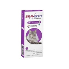 BRAVECTO - Bravecto Pipeta Gato 6,25 A 12,5 Kg Antiparasitario Externo