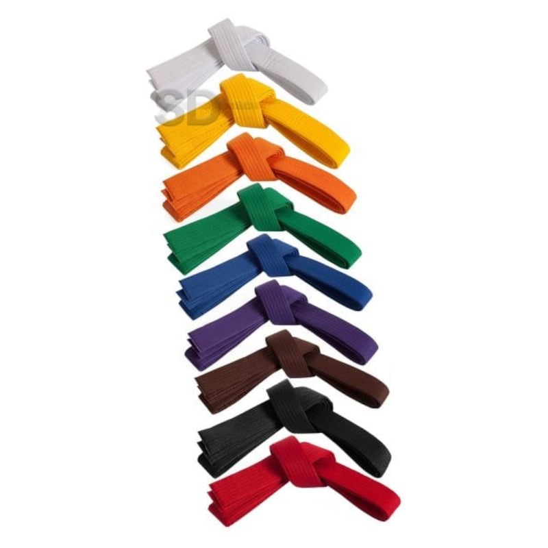 SDFIT - Cinturon de Artes Marciales 280 cm Rojo…