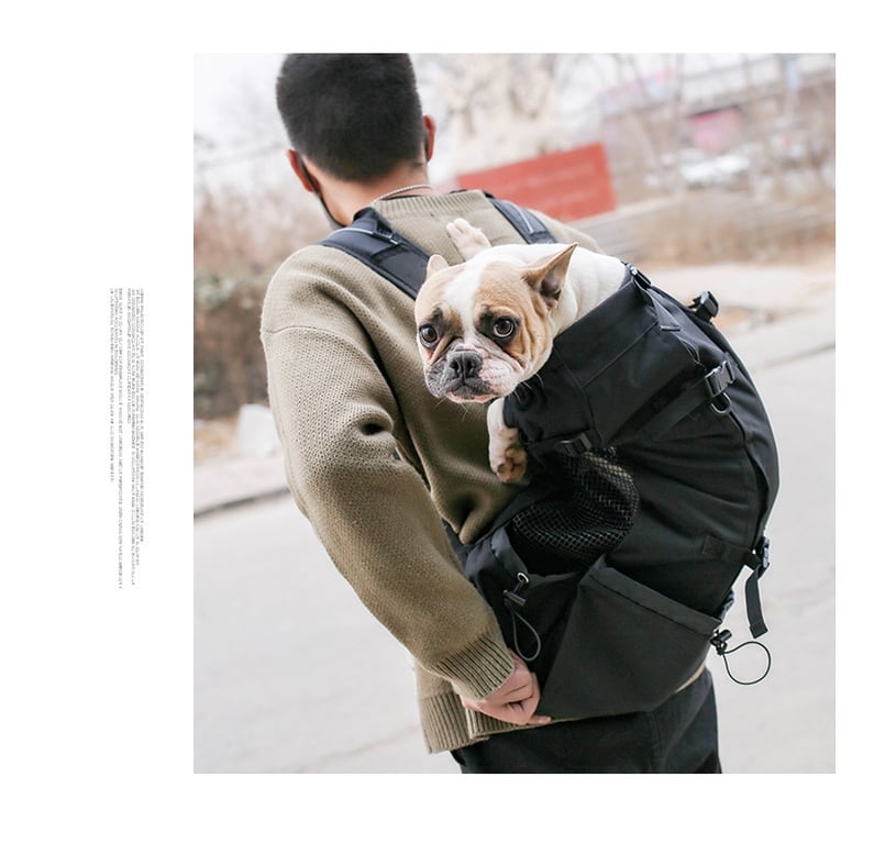Mochila Porta Perro Paseo Caminar Bicicleta Moto Talla 10kg