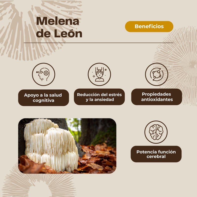 KARUNLIFE Melena De León Hongo - Pack 2 X Gomitas 60 Uni. | falabella.com